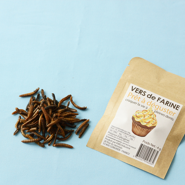 昆虫食レシピ