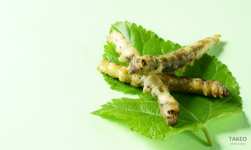虫 フンチャ フン茶 糞茶 昆虫食 お茶 カイコ