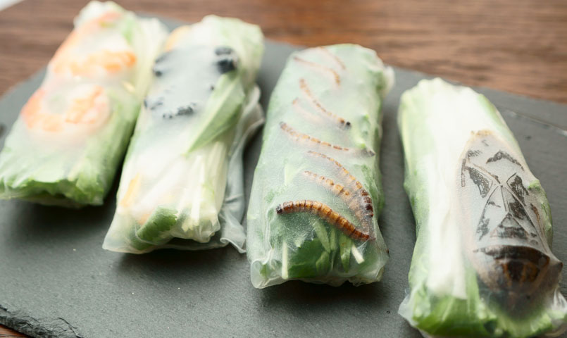 アクアリウムバス＠浅草産業貿易センター